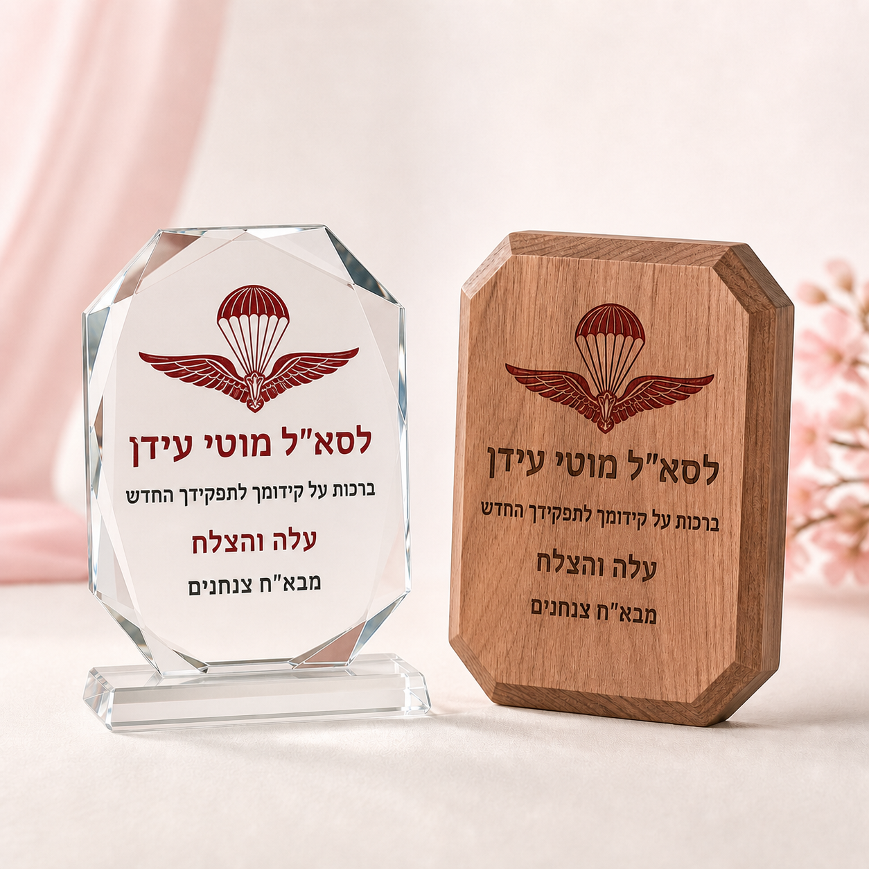 מגני הוקרה מזכוכית ומעץ